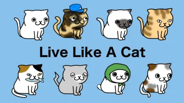 【NFTプロジェクト】LLAC（Live Like A Cat）とは？【コミュニティでできることも解説】